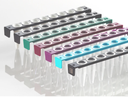 8 Well PCR Tube Strip with PC Frame