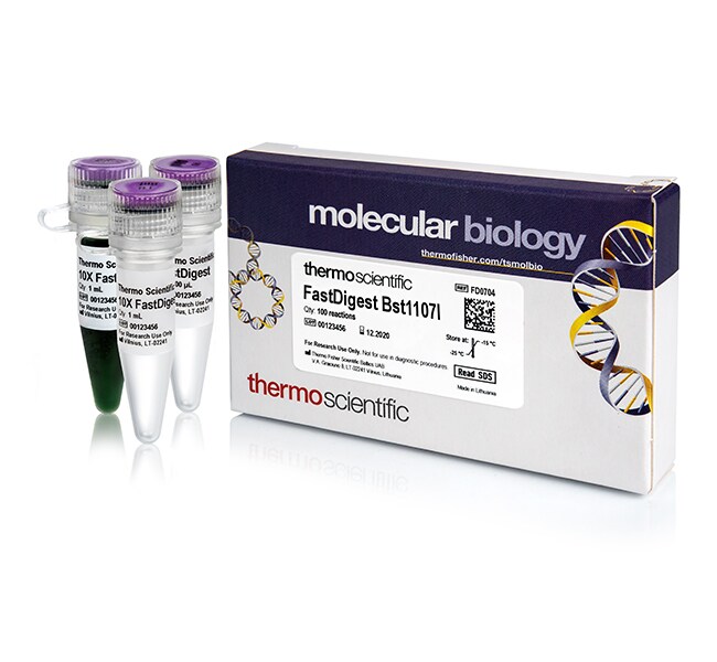 FastDigest BstZ17I (Bst1107I), 100 reações