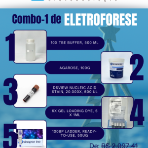 Kit Eletroforese Natal Verão (1)