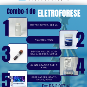 Kit Eletroforese Natal Verão (1)