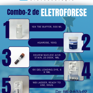 Kit Eletroforese Natal Verão (2)