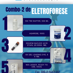 Kit Eletroforese Natal Verão (2)