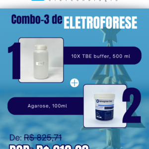 Kit Eletroforese Natal Verão (3)
