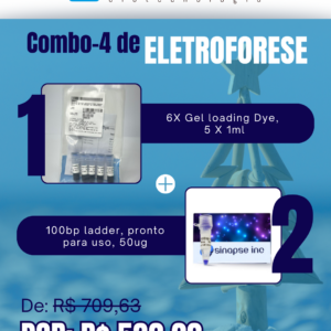 Kit Eletroforese Natal Verão (4)
