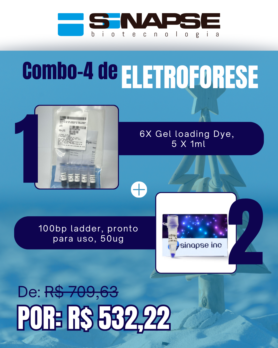 Kit Eletroforese Natal Verão (4)