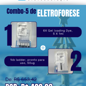 Kit Eletroforese Natal Verão (5)