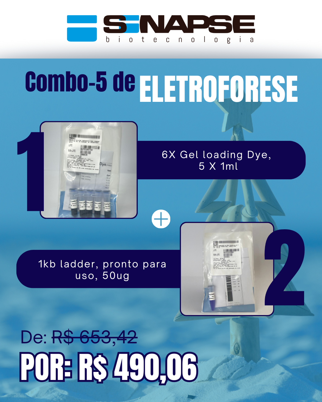 Kit Eletroforese Natal Verão (5)