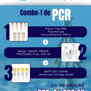 Kit PCR Natal Verão (1)