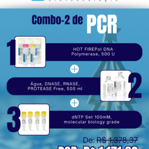 Kit PCR Natal Verão (2)
