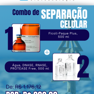 Kit Separação Natal Verão (1)