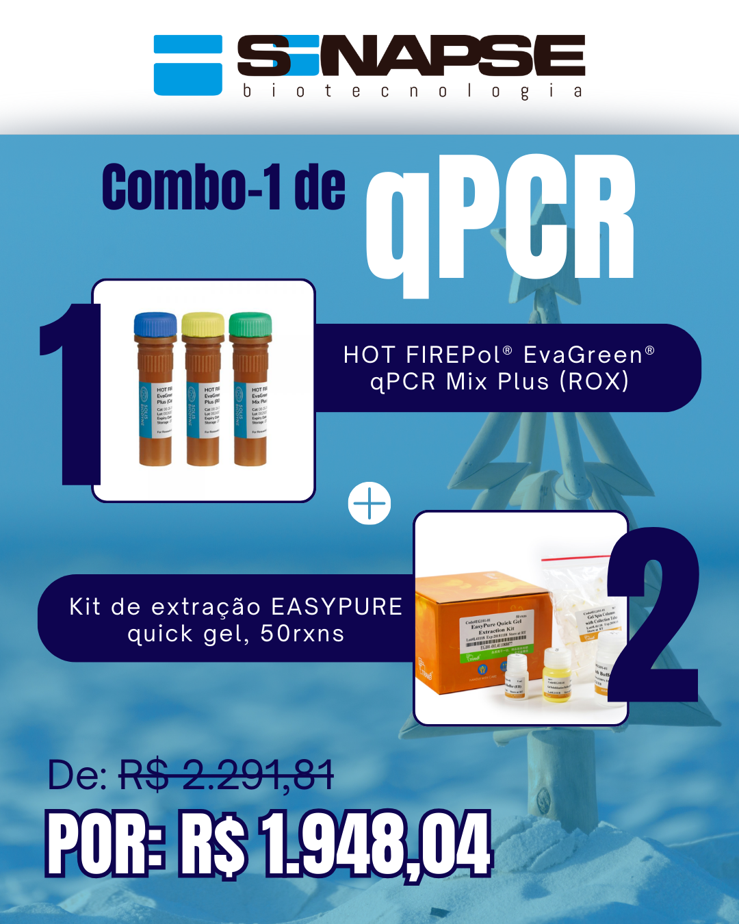 Kit qPCR Natal Verão (1)