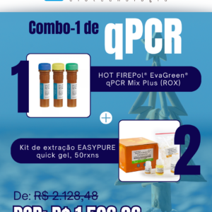 Kit qPCR Natal Verão (1)