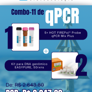 Kit qPCR Natal Verão (11)