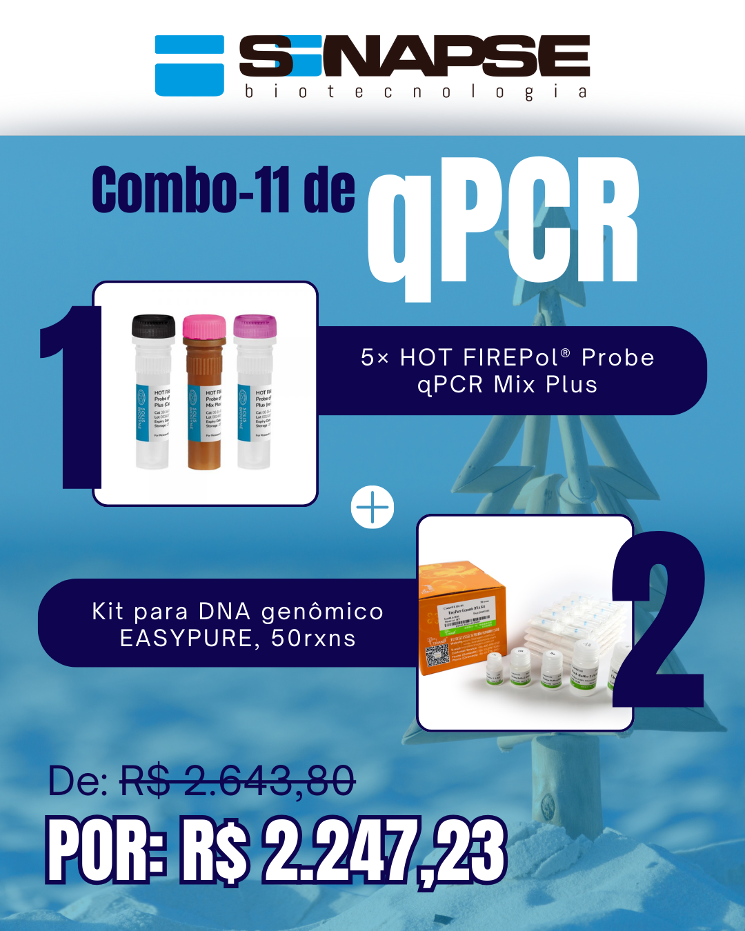Kit qPCR Natal Verão (11)