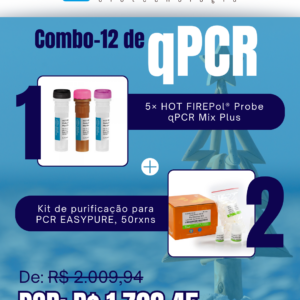 Kit qPCR Natal Verão (12)