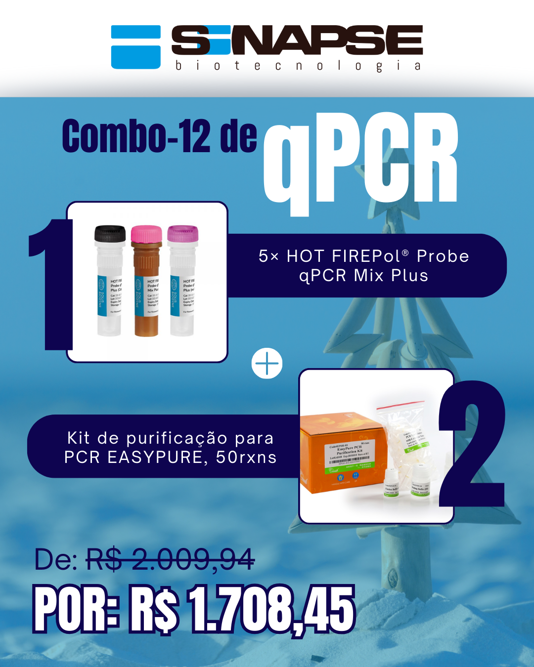 Kit qPCR Natal Verão (12)