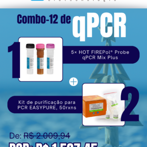 Kit qPCR Natal Verão (12)