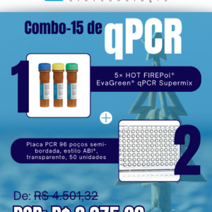 Kit qPCR Natal Verão (15)