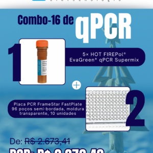 Kit qPCR Natal Verão (16)