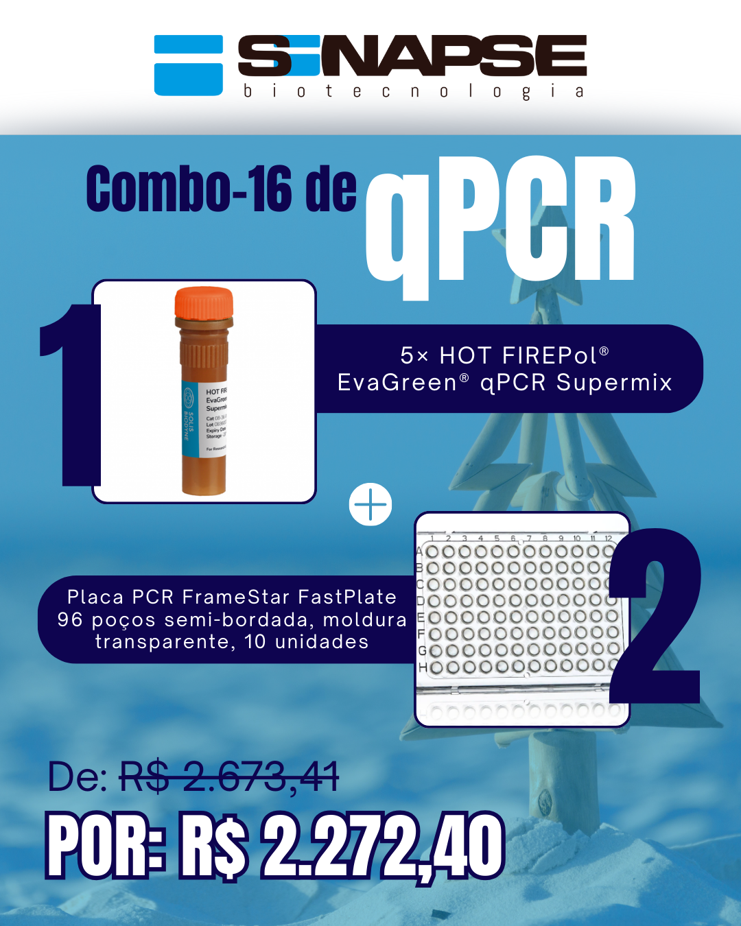 Kit qPCR Natal Verão (16)