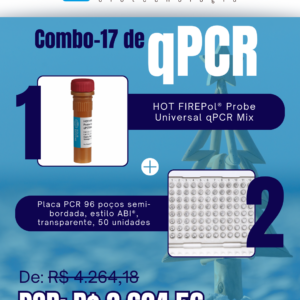 Kit qPCR Natal Verão (17)