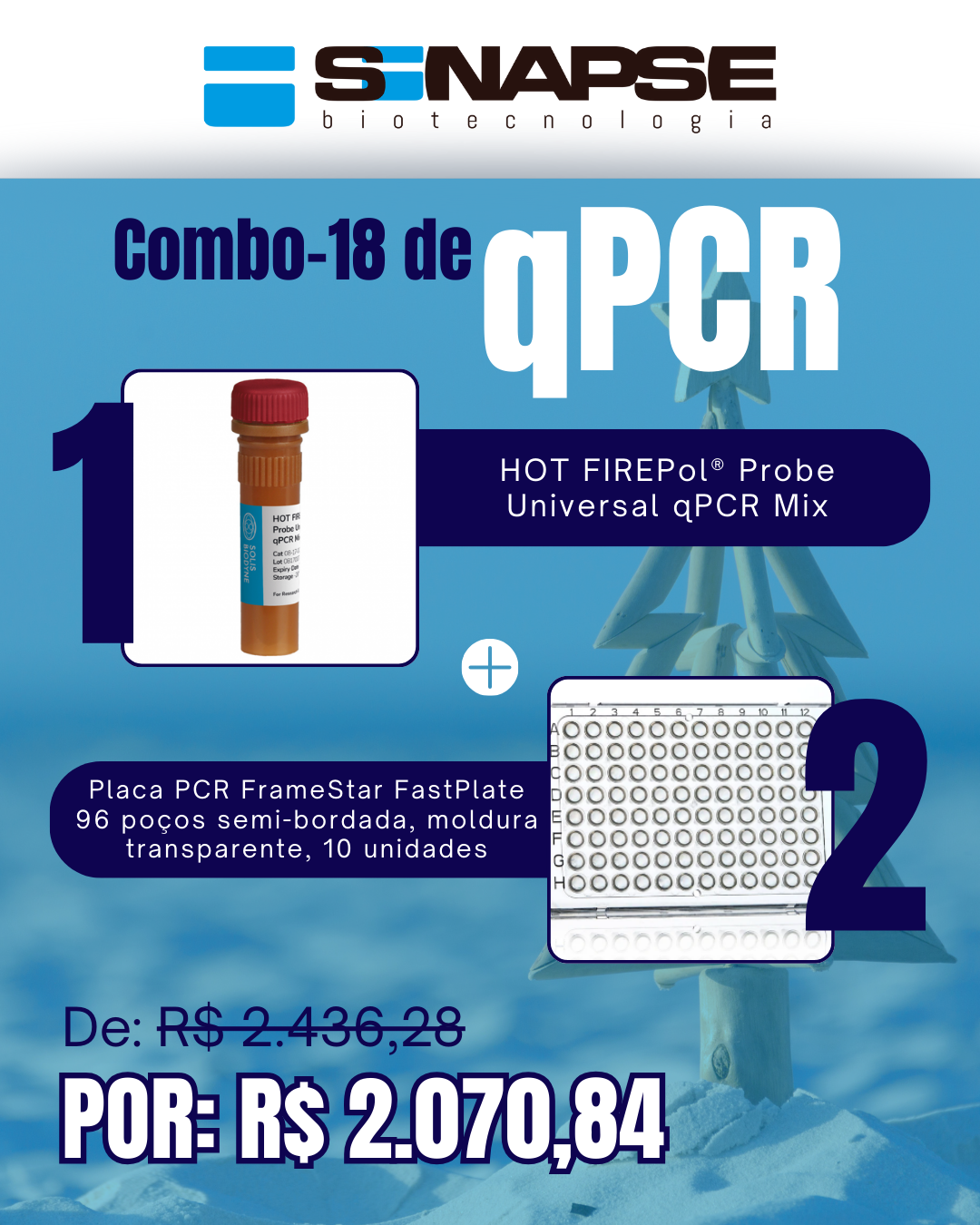 Kit qPCR Natal Verão (18)