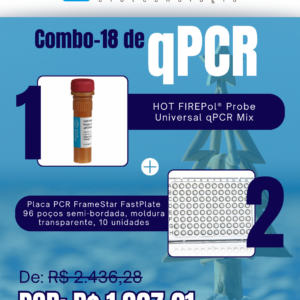 Kit qPCR Natal Verão (18)
