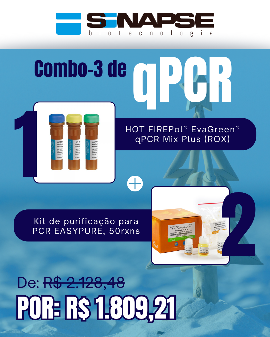 Kit qPCR Natal Verão (3)