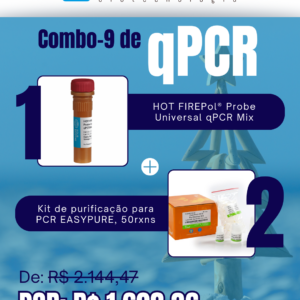 Kit qPCR Natal Verão (9)