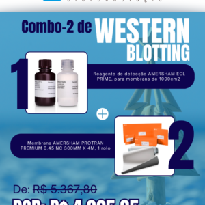 Kit Western Blotting Natal Verão (2)