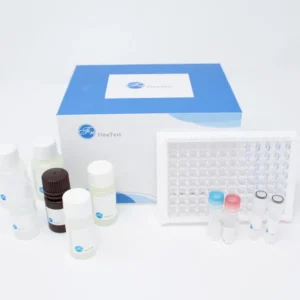 Human anti-SARS-CoV2(S-RBD)(Omicron,B.1.1.529) IgG ELISA Kit (48T)
