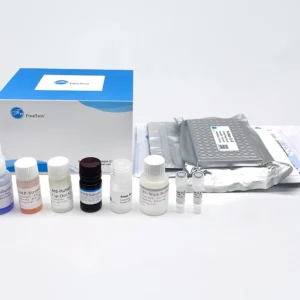 Rat Tpsb2 (Tryptase beta-2) QuickTest ELISA Kit (48T)
