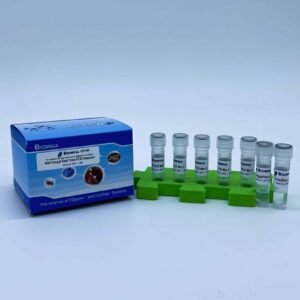 Nail Fungal Real Time PCR Detection (100 Tests)