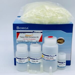 Cell Tissue RNA Mini Kit (250 Preps)