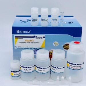 Bacterial DNA Kit (250 Preps)