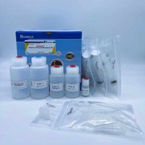 Express EZgene Plasmid Maxiprep Kit (10 Preps)