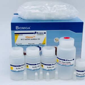 M13 Isolation Kit (250 Preps)