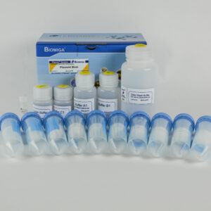 Plasmid Maxi Kit (10 Preps)