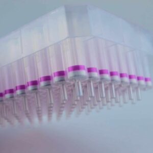 96-well Plasmid ezFilter Mini Kit (1x96 Preps)