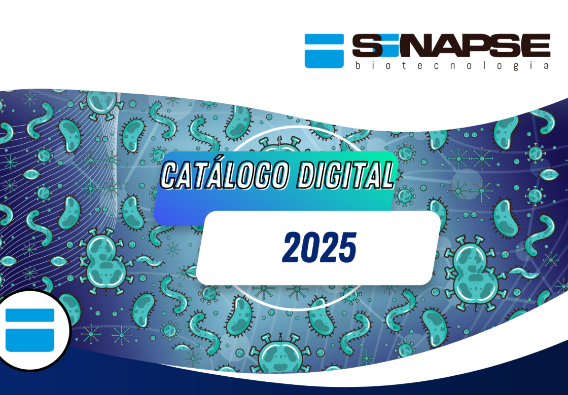 CAPA CATALOGO Sinapse25